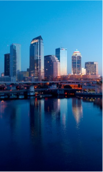 Tampa city 1080P 2K 4K 5K HD wallpapers free download  Wallpaper Flare